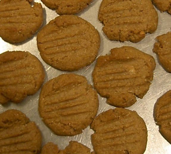 Peanut Butter Cookie
